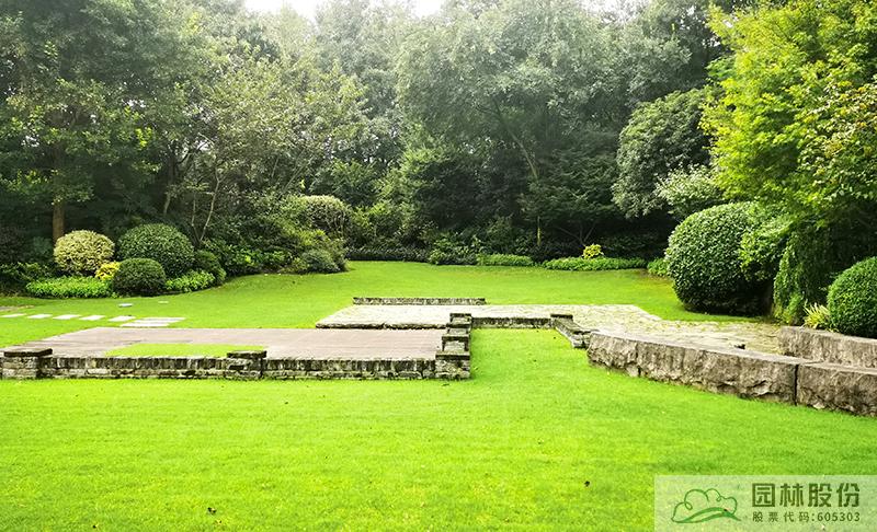 电竞比赛押注app