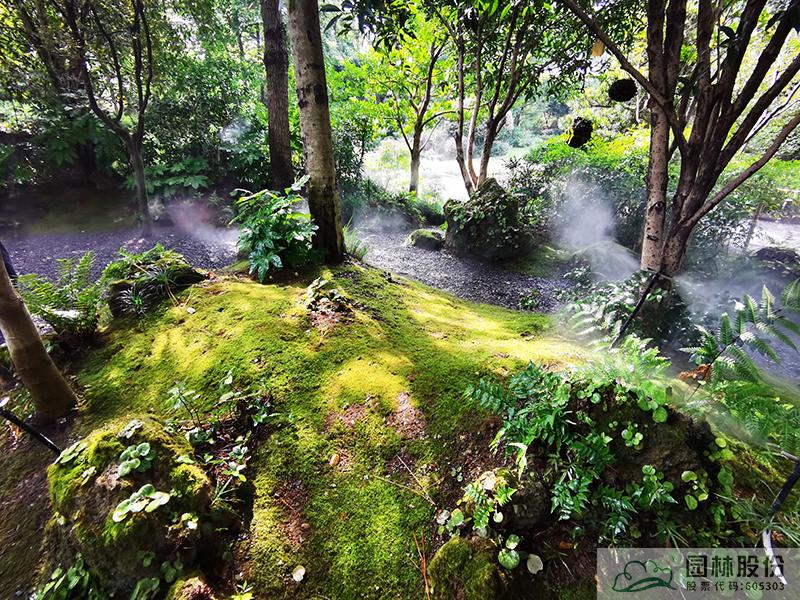 电竞比赛押注app