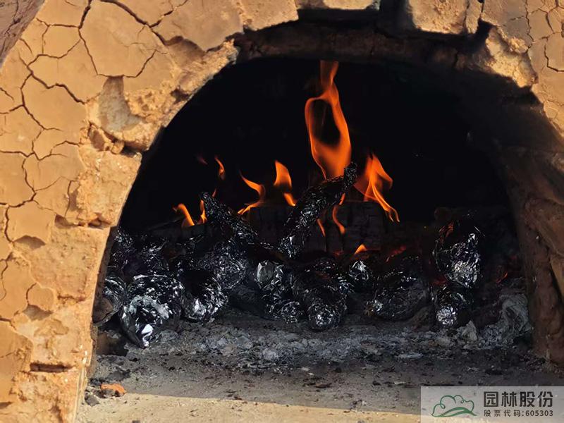 电竞比赛押注app