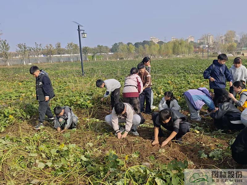 电竞比赛押注app