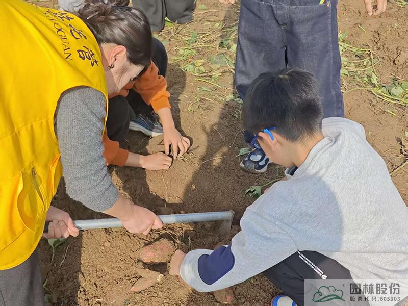 电竞比赛押注app