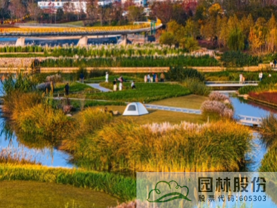 电竞比赛押注app