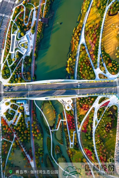 电竞比赛押注app