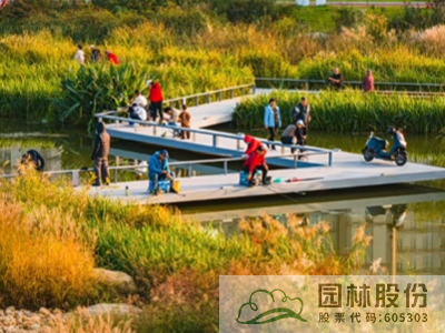 电竞比赛押注app