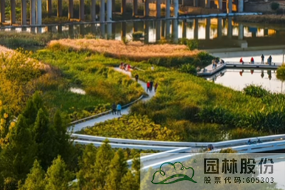 电竞比赛押注app