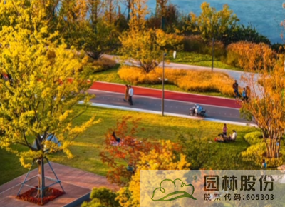 电竞比赛押注app