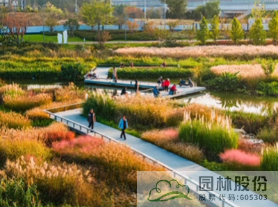 电竞比赛押注app