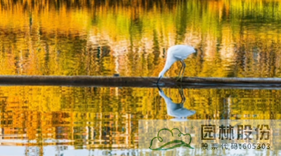 电竞比赛押注app