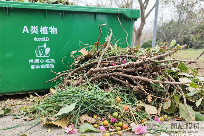 电竞比赛押注app