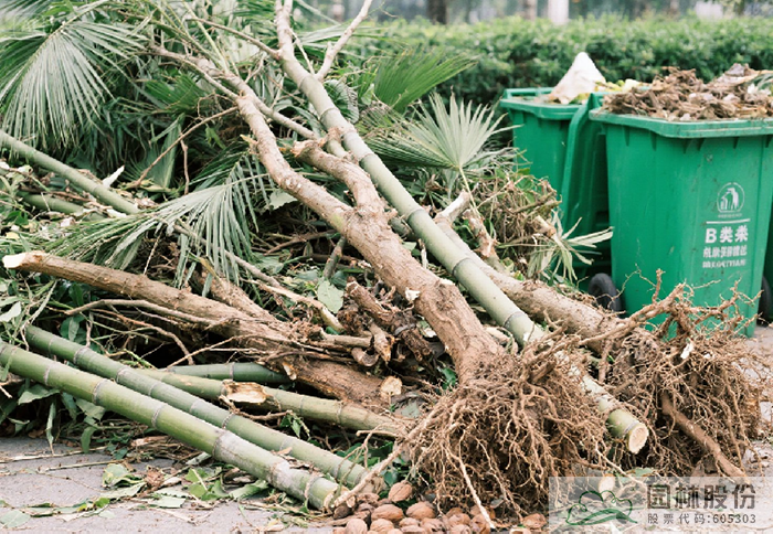 电竞比赛押注app