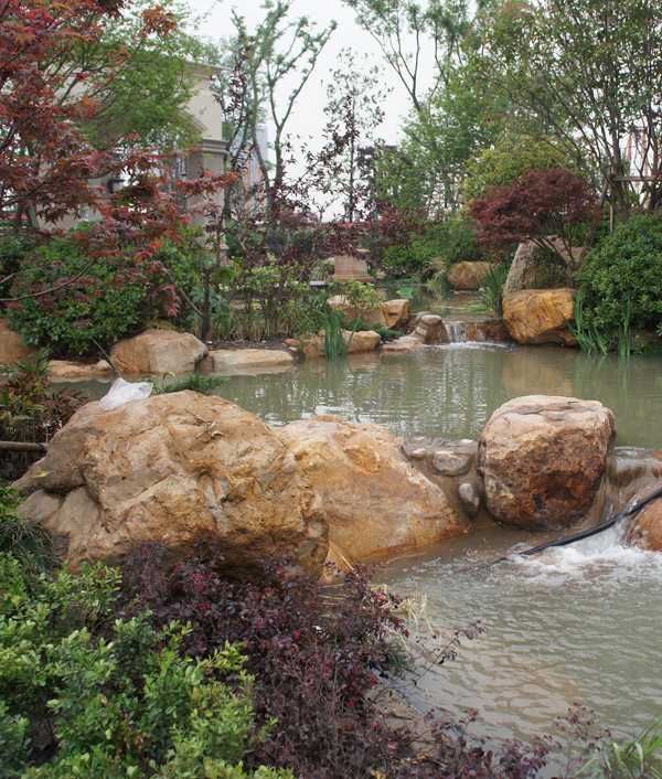 电竞比赛押注app