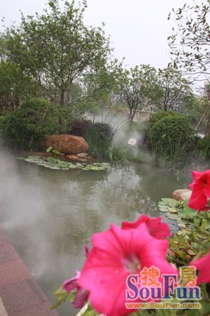 电竞比赛押注app