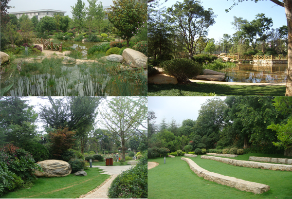 电竞比赛押注app