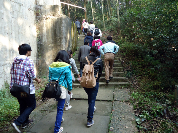 电竞比赛押注app