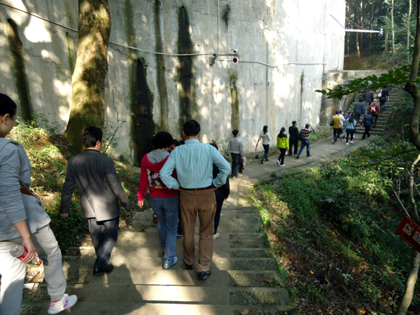 电竞比赛押注app