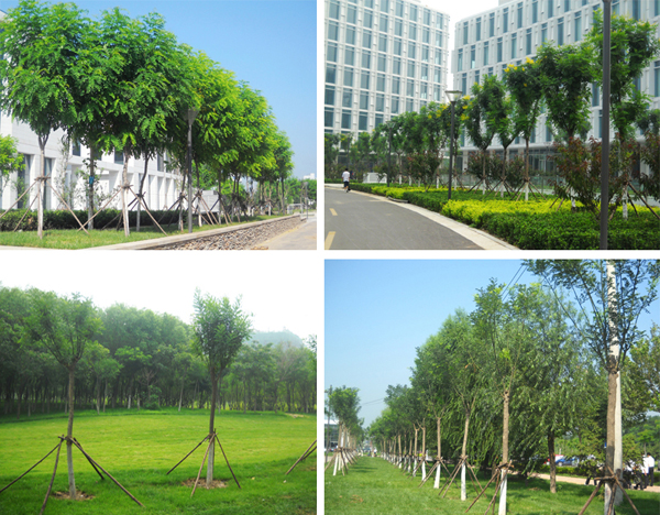 电竞比赛押注app