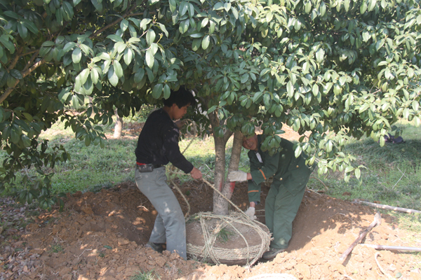 电竞比赛押注app