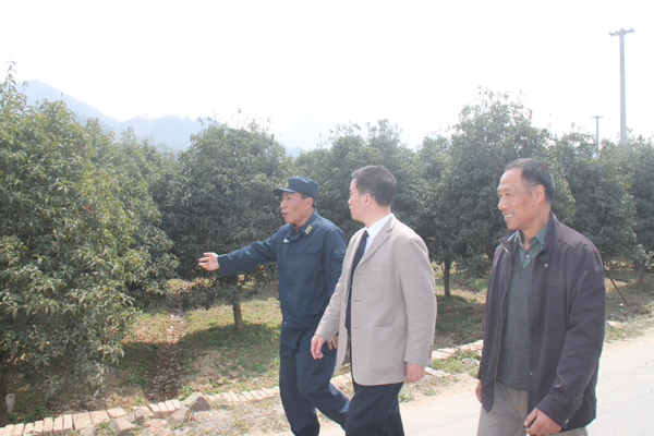 电竞比赛押注app