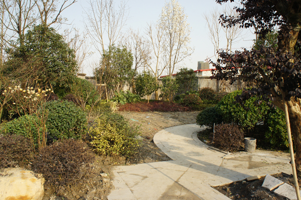 电竞比赛押注app