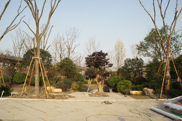 电竞比赛押注app