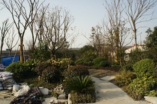 电竞比赛押注app