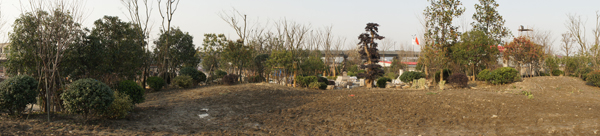 电竞比赛押注app