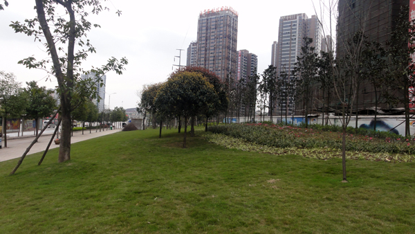 电竞比赛押注app