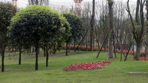 电竞比赛押注app