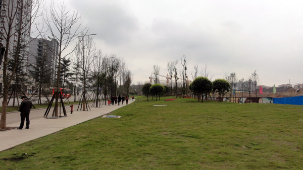 电竞比赛押注app