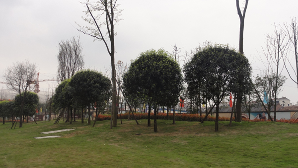 电竞比赛押注app