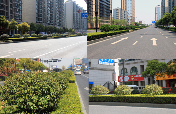 电竞比赛押注app