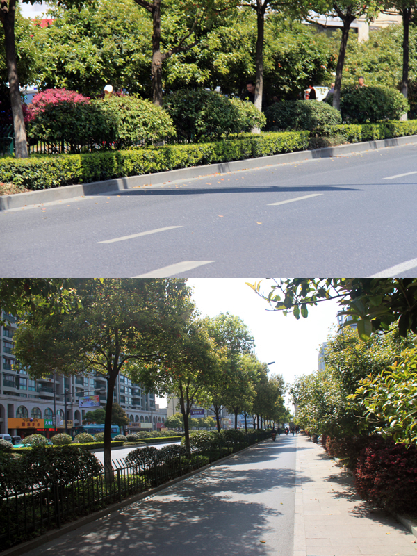 电竞比赛押注app