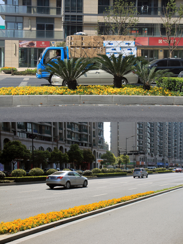 电竞比赛押注app