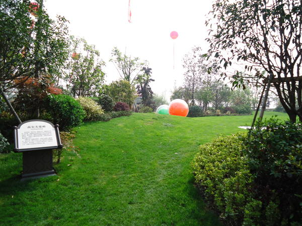 电竞比赛押注app