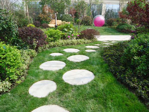 电竞比赛押注app