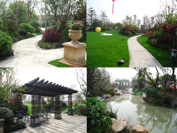 电竞比赛押注app