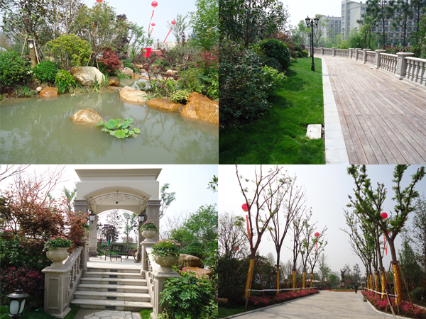 电竞比赛押注app