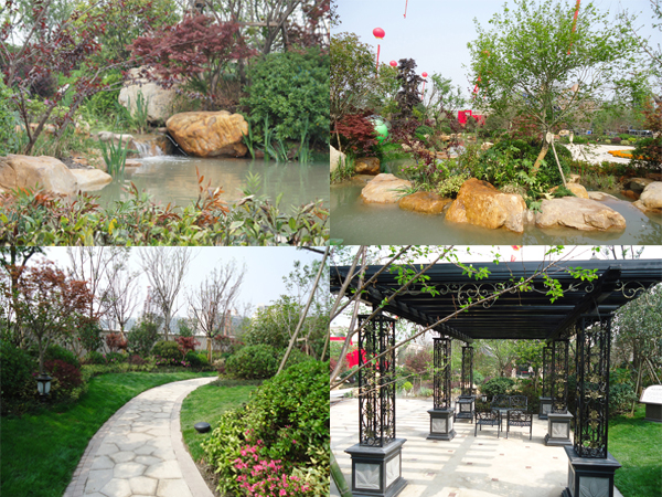 电竞比赛押注app