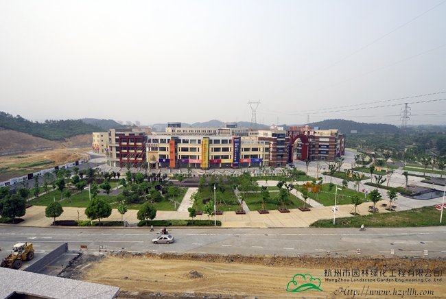 电竞比赛押注app