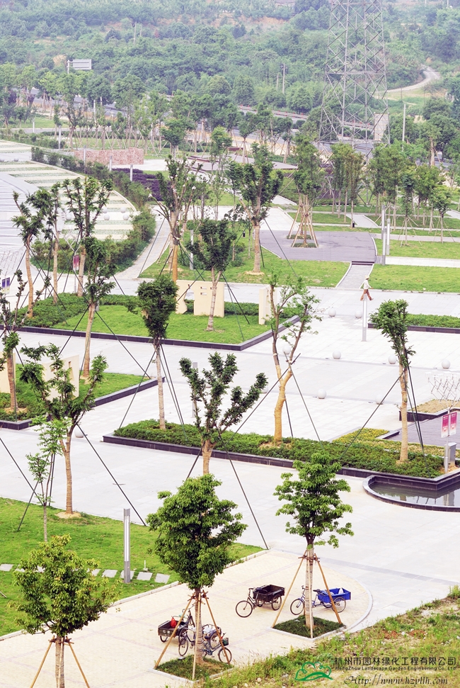 电竞比赛押注app