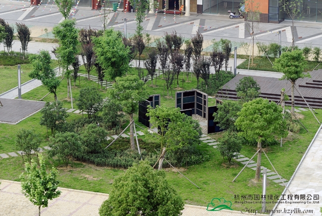 电竞比赛押注app