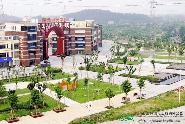 电竞比赛押注app