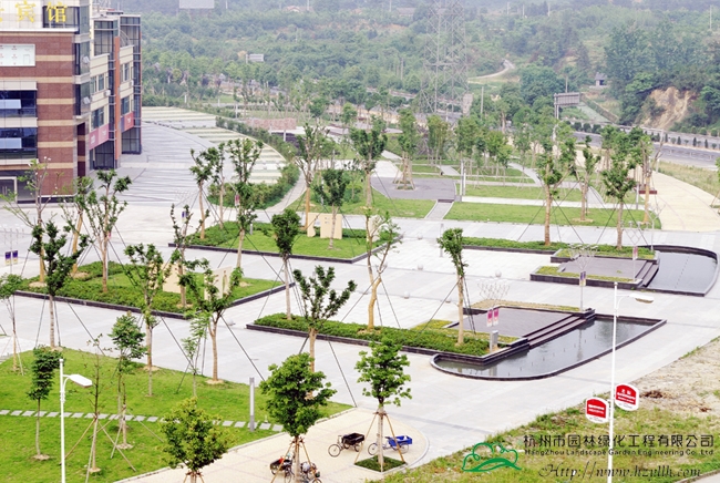 电竞比赛押注app