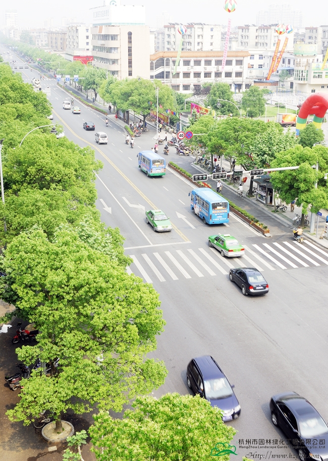 电竞比赛押注app