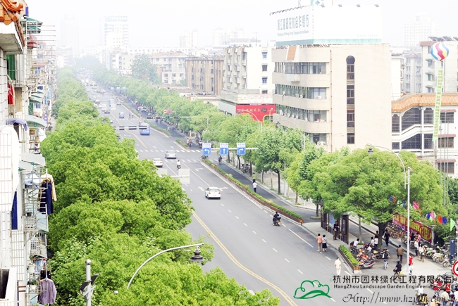 电竞比赛押注app