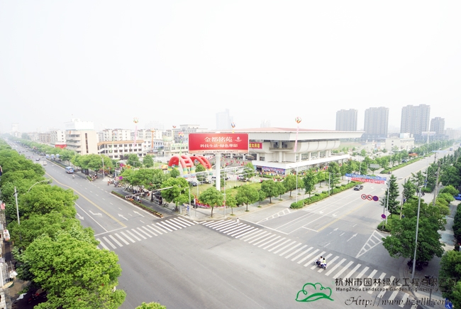 电竞比赛押注app