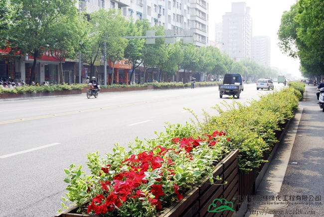 电竞比赛押注app