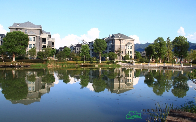 电竞比赛押注app