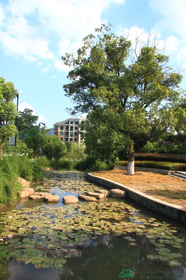 电竞比赛押注app