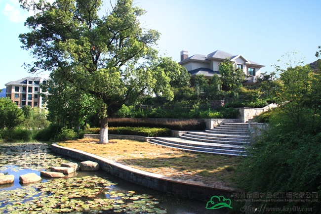 电竞比赛押注app